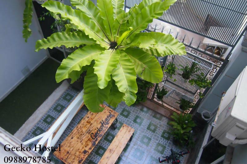 Gecko Hostel (Adults Only) Vung Tau Exterior photo